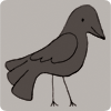 Black bird drawing